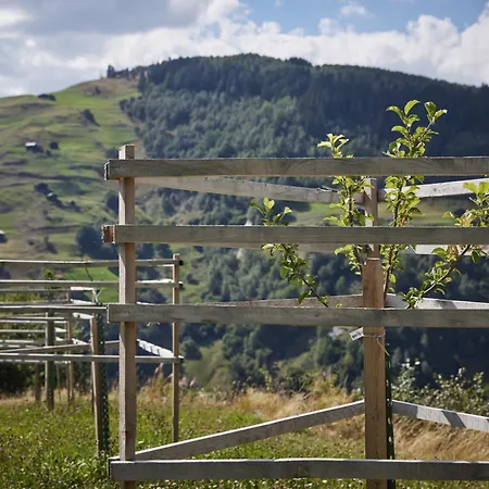 Otel Medelina Curaglia