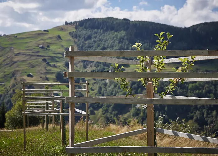 Hotel Medelina Curaglia